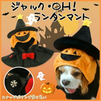 犬服 ハロウィンコスチューム マント ジャック・OH！ランタン S・L・3L 中 大型犬 コスプレマント ハロウィーン ドッグウェア