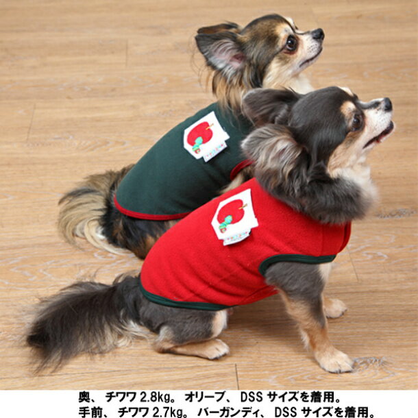 中型犬 服 はらぺこあおむし刺繍 フリースTee エリック・カール ペットウェア 暖かTシャツ フレブル