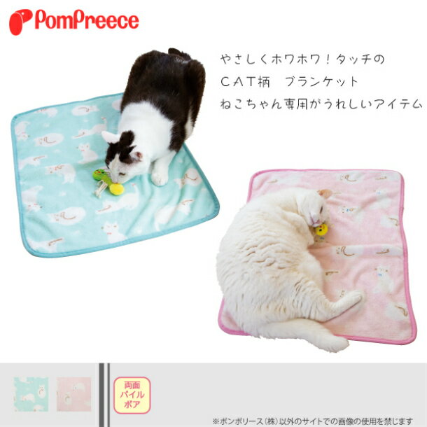 ǭ���� CAT�֥�󥱥å� �դ��ꤢ�ä������� ���������к� �ͤ� �ޥå� �ڥå����� ����