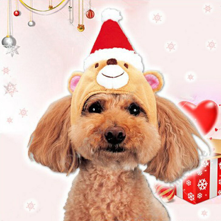 猫 小型犬 中型犬 大型犬 クリスマス かぶりもの 変身帽子 サンタベアーズ S M LL 4L X'mas