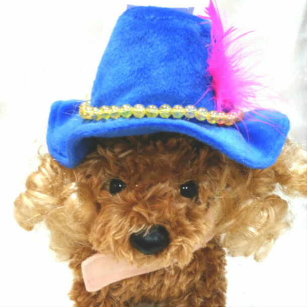 犬用品 かぶりもの 変身帽子! 金髪外国人風ハット LL ドッググッズ ハロウィン 仮装パーティーや記念写真の撮影に！！