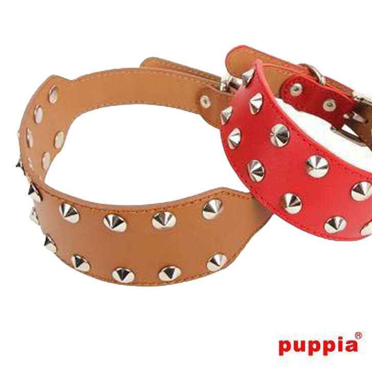   MAX puppia å 쥶顼 ܳ 淿 緿