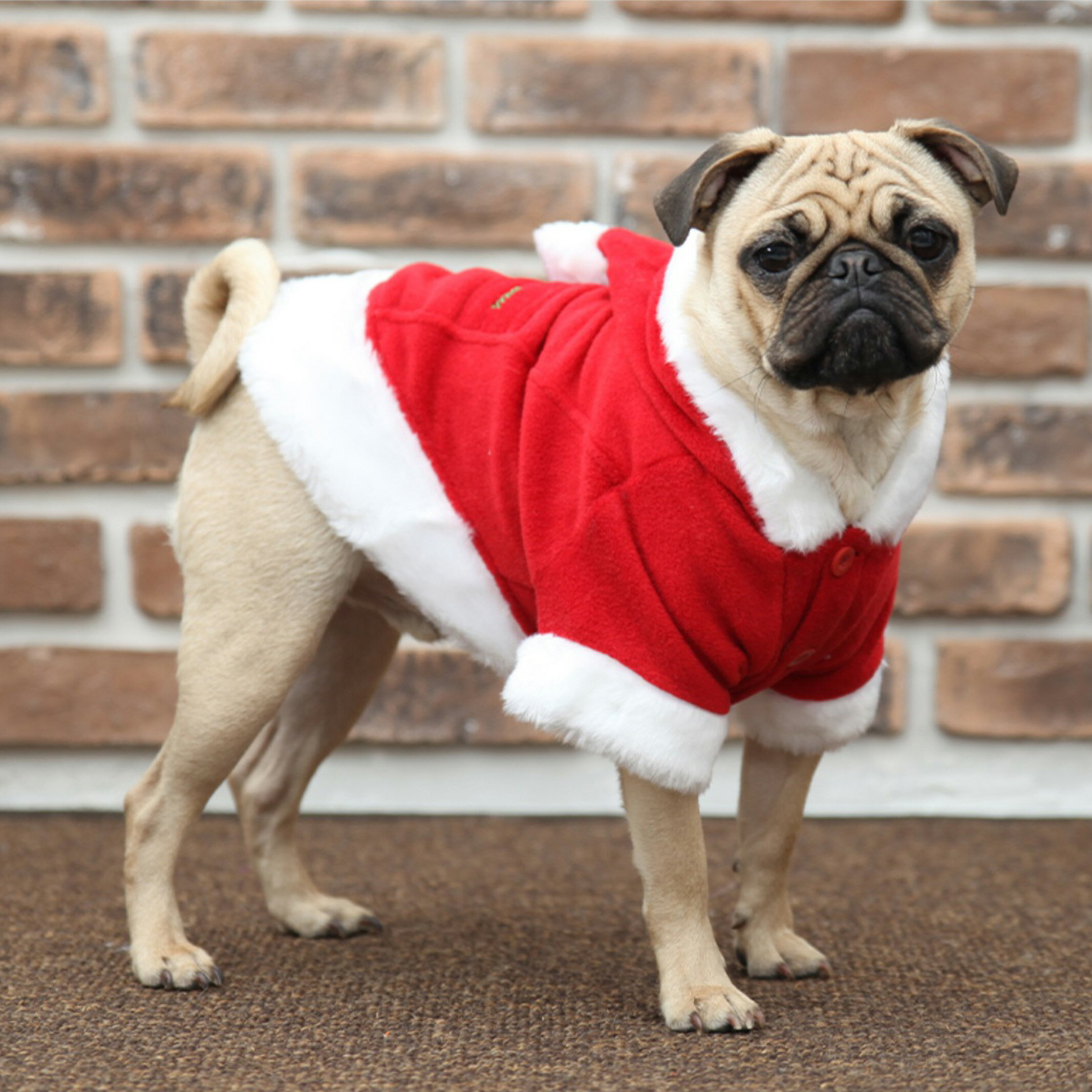 犬服 クリスマス サンタコート 小型犬 中型犬 大型犬 S M L XL XXL 3L 4L 5L puppia サンタ コスチューム