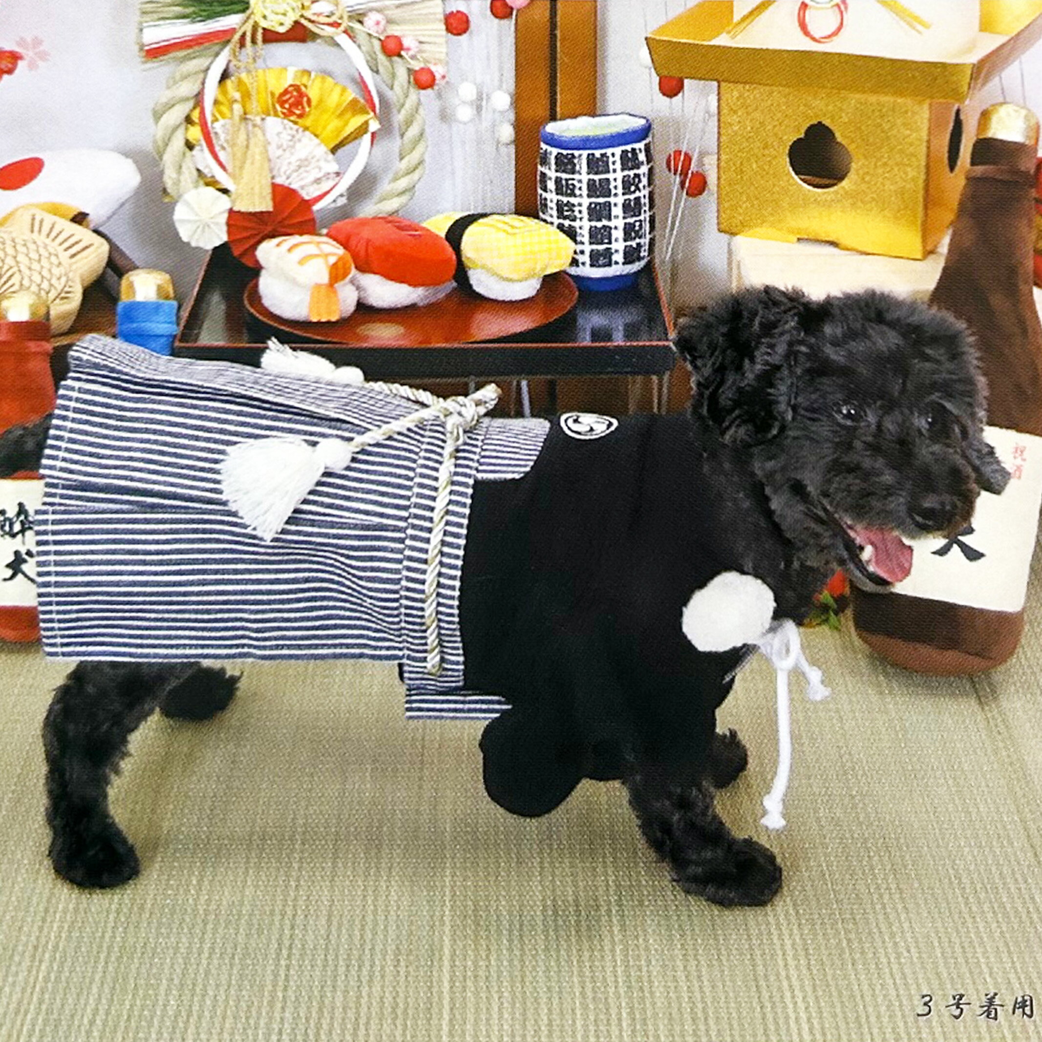  Ϥ (餤)   淿 緿 ѥԡ Ķ 1 2 2 3 3 6 7 8 10 ...