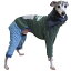 犬服 IGモンブランキルトパンツ イタグレ 服 つなぎ オールインワン イタリアン・グレイハウンド 服 ドッグウェア ロンパース ウィペット 5,280円