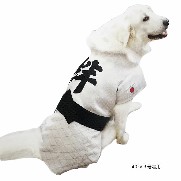 犬服 柔道着 絆 スポーツユニフォーム 小型犬...の紹介画像2
