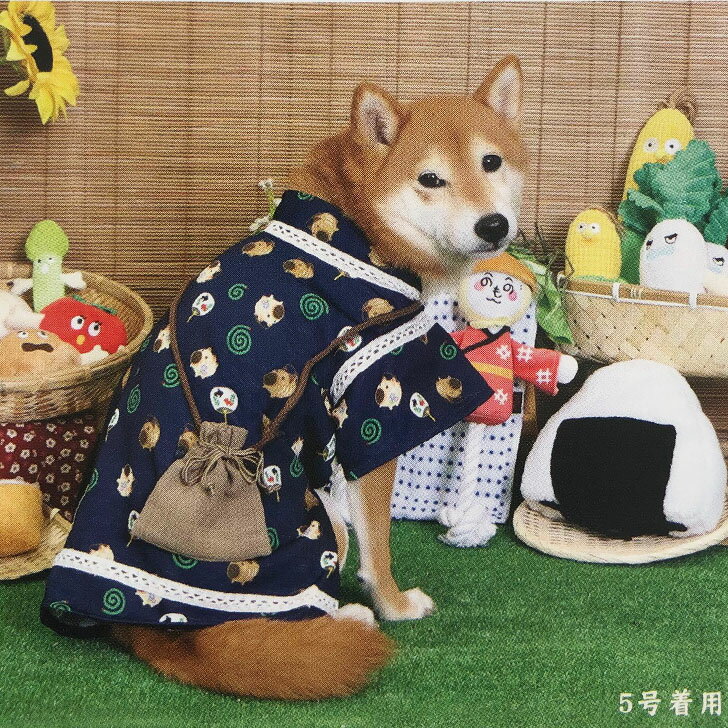 ���� ��ʿ �������� Ķ������ ������ 1�� 2�� 2����� 3�� 3����� 4�� 5�� �淿�� 6�� ���פ� ��� �� ���� �ɥå�������