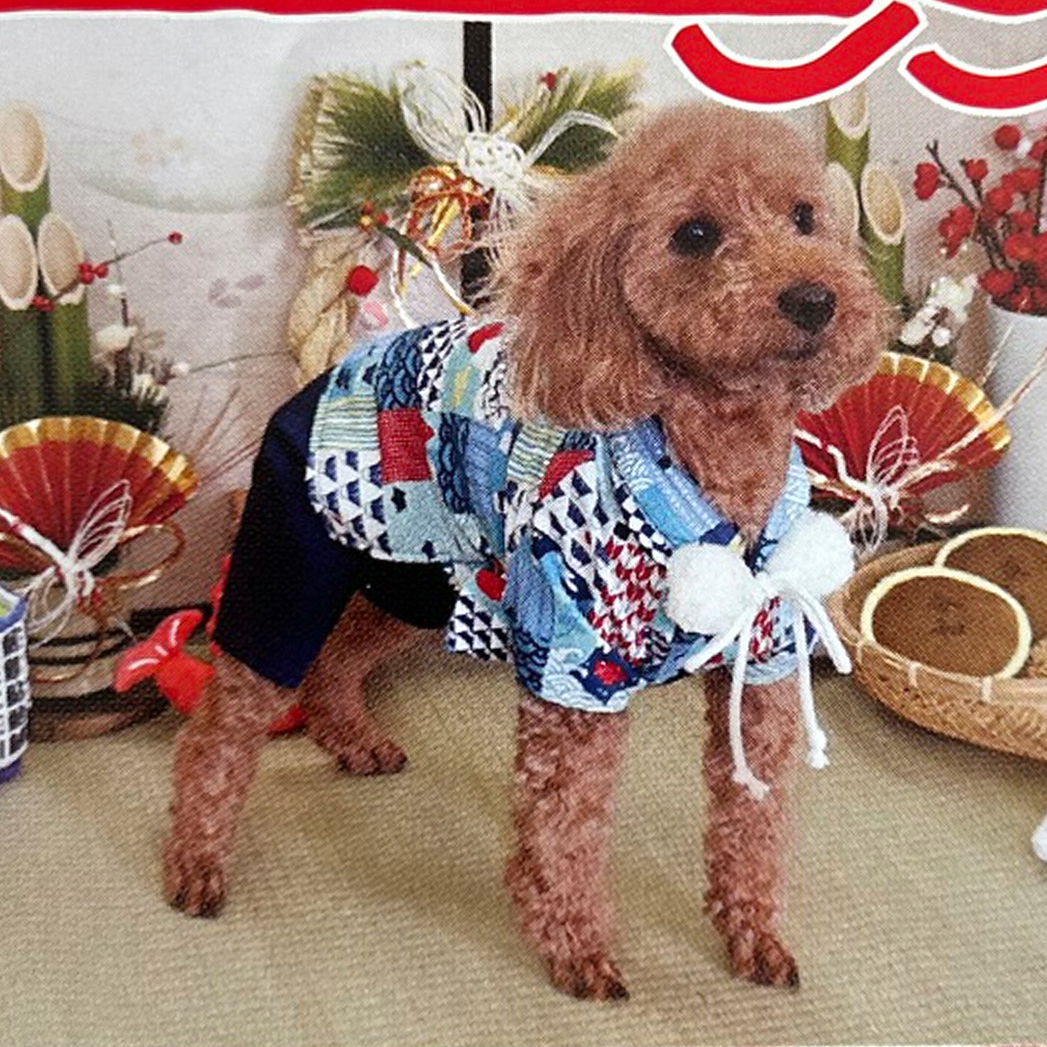 ���� �Ϥ��� �ٻ� �� �ٻλ� �ѥԡ� Ķ������ �淿�� 1�� 2�� 2����� 3�� 3����� 4�� 5�� 6�� �� ��ʪ ���� ���� ������