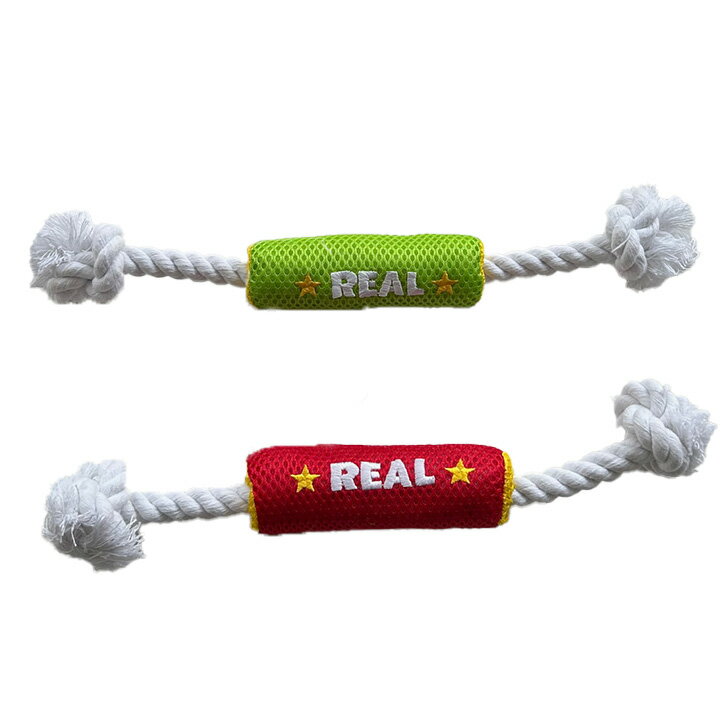   REALå ץȥ ǥ󥿥TOY