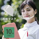 透明マスク マウスシールド 業務用 10枚 飲食 衛生マスク 目立たない クリアマスク 透明 シールドマスク 飛散防止 フェイスシールド 口元 接客