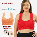 ZENANA ジーナナ 大きいサイズ ノンワイヤー ブラ レース ストレスフリーストレッチブラレット 5L 6L 90 95 100110 レディース 下着 イ...