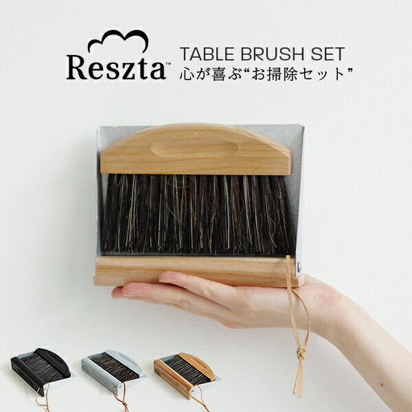 レシュタ Reszta テーブルブラシ ちり