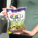 濃い香りをつくりたい ハーブ・香草の肥料