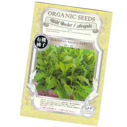 ワイルドロケット／セルバチコ／アルグラ(ローマ)　【有機ハーブ種子】【固定種】ORGENIC SEED Wild Rocket/Arugula (Roma)