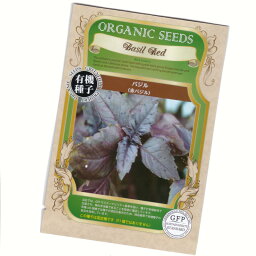 ダークオパールバジル(赤バジル)　【有機ハーブ種子】【固定種】ORGENIC SEED Basil Red (Red Leaves)