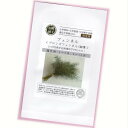 ブロンズフェンネル/銅葉 【有機ハーブ種子】【固定種】ORGENIC SEED