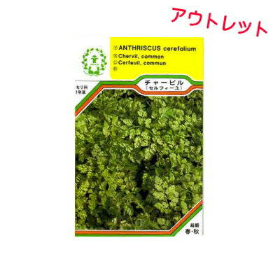 検査有効期限が近い、あるいは多少切れている訳あり商品の為、お得価格にてご提供させていただきます。ご理解の上ご注文頂きますようお願い申し上げます。 【特性】 グルメのパセリとも呼ばれ、フランス料理には欠かせないハーブです。バセリよりまろやかな香りをもちスープ、ドレッシング、ハーブバターなどに利用されます。草丈40cm、株張り30cm以上になります。 【利用】 花壇、コンテナに植えキッチンガーデンとして楽しみながら葉を摘み利用します。長期間利用、楽しむために収穫は適度に株が育ってからで、葉をみじん切りにしてサラダ、オムレツ、スープ、白身魚料理などに利用します。熱を加えすぎると香りが失われやすいので注意します。 【商品情報】 ◆品種名／Leaf Chervil ◆学名／Anthriscus cerefolium ◆科名／セリ科 ◆種類／耐寒性1〜2年草 ◆原産地／コーカサス、西アジア ◆和名／チャービル ◆別名／セルフィーユ ◆利用方法／料理・菓子、園芸 ◆種子内容量／3.0ml ◆生産地／オランダ ◆発芽率（以上）／80% ◆農薬の使用／無使用 ◆発芽有効期限／商品に記載 ◆メーカー／三笠園芸(株) 　容量及び発芽率はメーカーにより予告なく変更する場合がございます。あらかじめご了承ください。 ■種をご注文の前に必ずお読みください 発芽試験の結果を満たした良品の種子をお届けいたしますが、不適格条件下では発芽しないこともあります。このため商品開封後の種子の返品及び交換は一切お受けいたしかねます。この点を充分ご納得の上、お買い求めくださいますようお願いいたします検査有効期限が近い、あるいは多少切れている訳あり商品の為、お得価格にてご提供させていただきます。ご理解の上ご注文頂きますようお願い申し上げます。