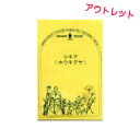 【訳ありお得価格】コキア(ホウキグサ)/アウトレット・ハーブの種【ネコポス対応可能】