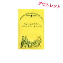 【訳ありお得価格】ウォールフラワーシベリアン・オレンジ／アウトレット・ハーブの種【ネコポス対応可能】