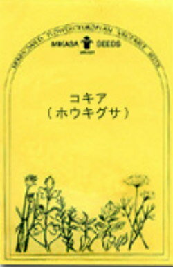コキア(ホウキグサ)／ハーブの種・西洋野菜【ネコポス対応可能】のサムネイル