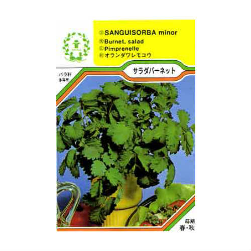 ■特性 暑さ、寒さに強く、土質を選ばず非常に育てやすい多年草です。「バーネット」といわれ、柔らかな葉はサラダにピッタリで、肉、魚料理にもよく合います。草丈60cm、株張り40cm以上となります。 ■利用 花壇、コンテナに植えキッチンガーデンとして楽しみながら葉を摘み利用します。長期間利用、楽しむために収穫は適度に株が育ってからで若い葉はグリーンサラダやハーブワイン、ハーブビネガーに利用、またみじん切りにしてバターに混ぜると、独特の香りのバターになります。 ■良くあるご質問 　　 　　タネまきの方法から移植までの手順を教えてください 　　栽培の基礎知識について 　　苗の状態や種の発芽に関する保障について 　　病気と害虫について 　　コンパニオンプランツについて 　　防虫ハーブについて ■商品情報 品種名 Salad Burnet 学　名 Sanguisorba minor 科　名 バラ科 種　類 多年草 原産地 ヨーロッパ、アジア 和　名 オランダワレモコウ 別　名 ガーデンバーネット、 サラダバーネット 利用方法 　 　 　 種子内容量 2.0ml 生産地 オランダ 発芽率（以上） 80% 農薬の使用 無使用 発芽有効期限 2024年9月メーカー 三笠園芸(株) 　容量及び発芽率はメーカーにより予告なく変更する場合がございます。あらかじめご了承ください。