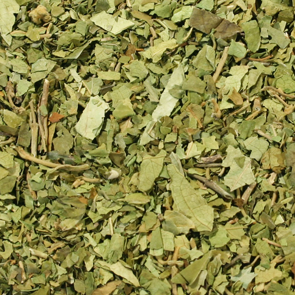 楽天ハーブティー専門店 e-ティザーヌギムネマ・リーフ（葉部）／300g　お得なMOTTOシングルハーブティー リーフタイプ