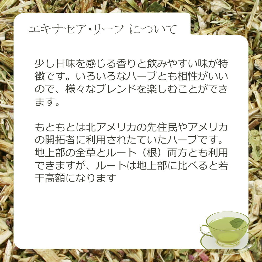 エキナセア・リーフ(葉茎部) 15g〜シングル...の紹介画像3