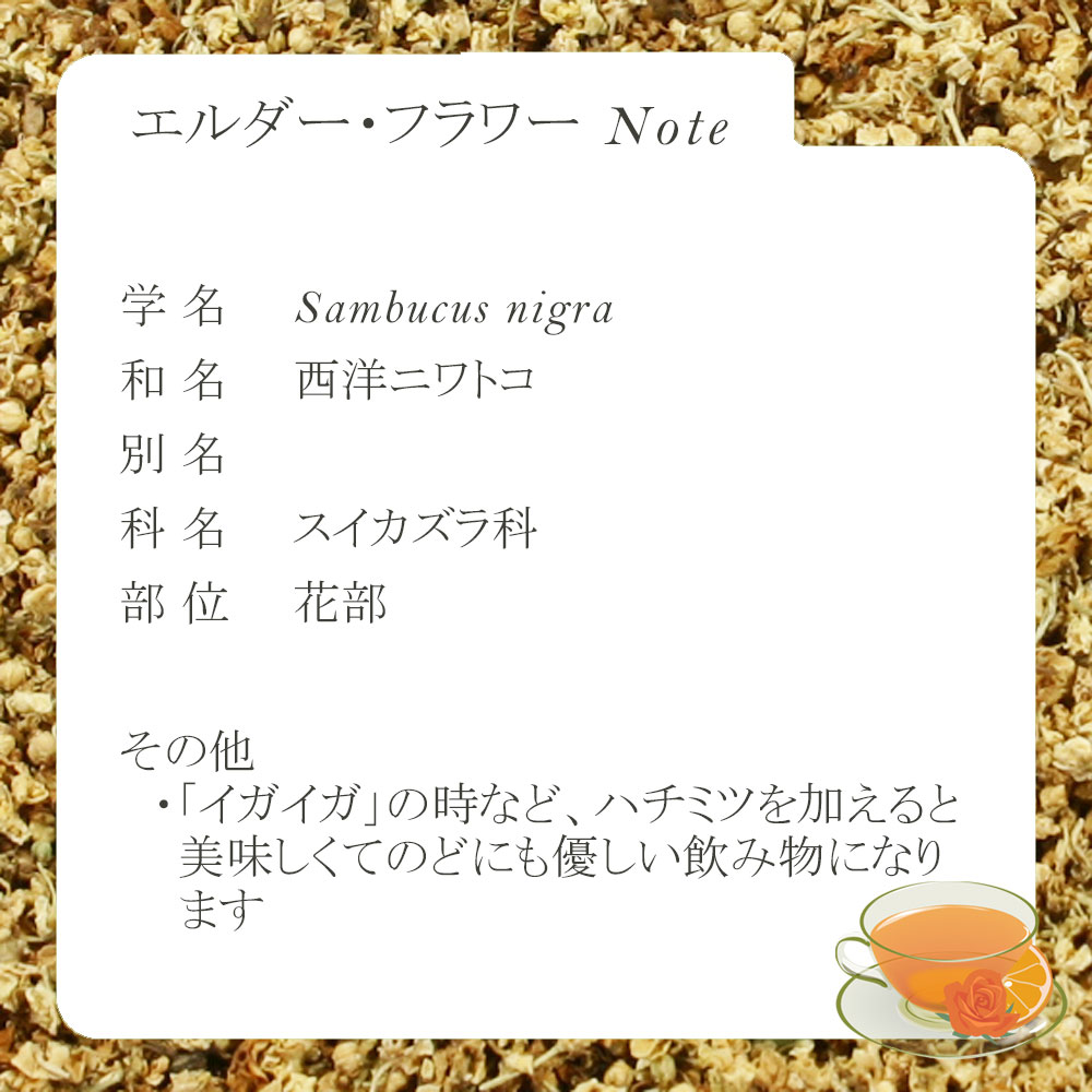 エルダー・フラワー(花部) 15g〜 シングル...の紹介画像2