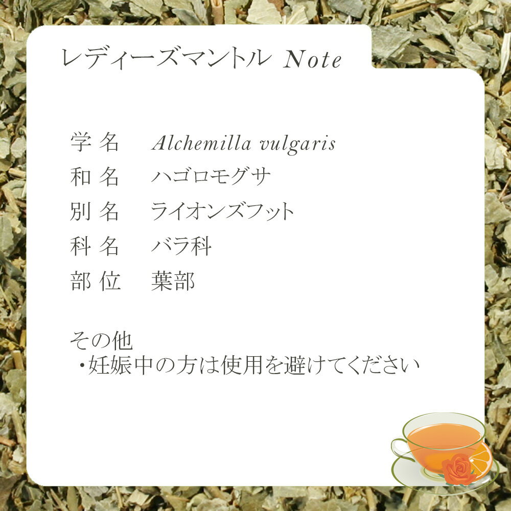 レディースマントル・リーフ(葉部) 8g〜 シ...の紹介画像2