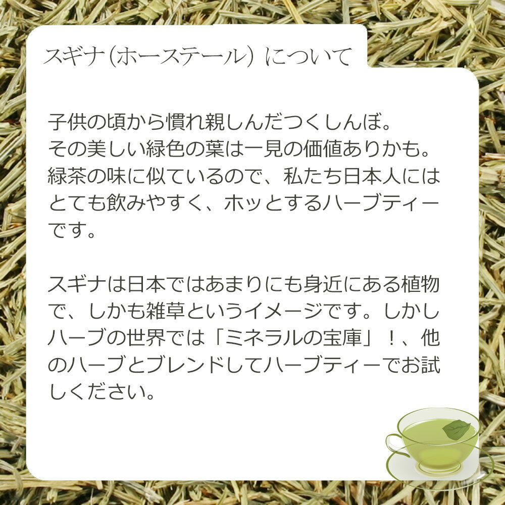 スギナ(ホーステール)・リーフ(葉茎部) 8g...の紹介画像3