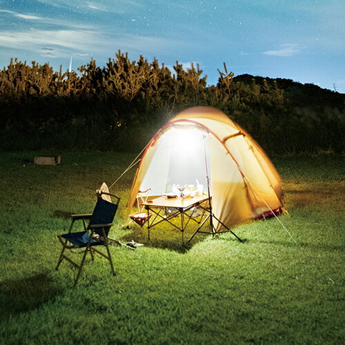 �ॵ�� ���ż� �ޥ�� LED�饤�� 6W ���� COB-WL001