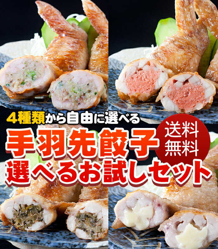 【送料無料】手羽先餃子 選べるお試しセット(5本×5P)焼き鳥屋の手羽先お惣菜！バーベキュー BBQに最適【手羽餃子】【訳あり】【焼くだけ】