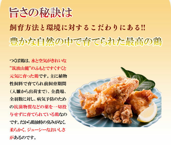 唐揚げ 国産つくば鶏のもも肉使用の唐揚げ 5パック(1パック200g)【唐揚げ から揚げ】【茨城県産】【銘柄鶏肉】 国産 とり肉 家庭用 おにく 鶏肉 鳥肉 肉 鳥 お肉 鶏 冷凍肉 バーベキュー BBQ 業務用