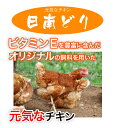 【送料無料】日南どり もも肉 4kg(2kg2パックでの発送)(宮崎県産) 鳥肉(fn67801)ビタミンEを豊富に含んだ飼料を用いた元気チキン。鳥もも肉 国産 とり肉 鶏もも肉 唐揚げ 鶏肉 モモ肉 鶏モモ 柔らかい ジューシー 唐揚げ 鳥肉 肉 鳥 お肉 鶏 冷凍肉 家庭用 バーベキュー BBQ 3