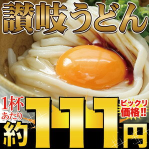 【送料無料】【同梱不可】【ゆうメール出荷】鎌田醤油特製ダシ醤油9袋付き！讃岐うどん9食分900g（300g×3袋）(SM00010277)