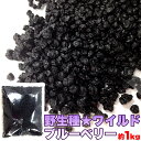 【送料無料】【同梱不可】野生種 ワイルドブルーベリー大容量1kg (SM00010048)