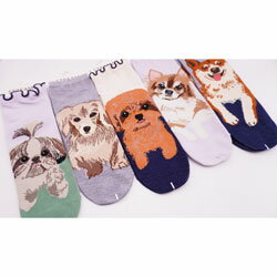ソックス 靴下 ロークルー レディース 23-25cm 犬柄