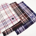 POLO ポロ タオルハンカチ メンズ 表ガーゼ裏パイル チェック柄 24×25cm ビジネス 学生 男性 紳士 プチギフト おしゃれ 小物雑貨