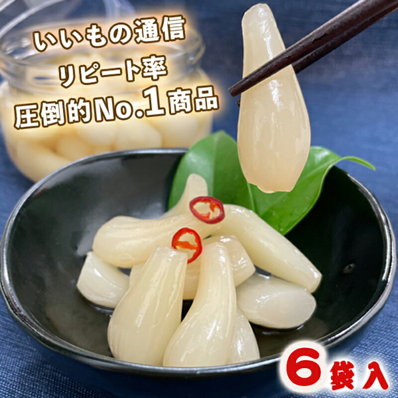 三里浜特産農業協同組合：三年子花らっきょ 80g×10袋入