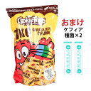 クッキータイム チョコチップクッキー（47575）【ケフィア2包おまけ付き】