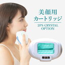 美顔カートリッジ【2PSクリスタル専用】IPL脱毛器 美顔器 光美顔