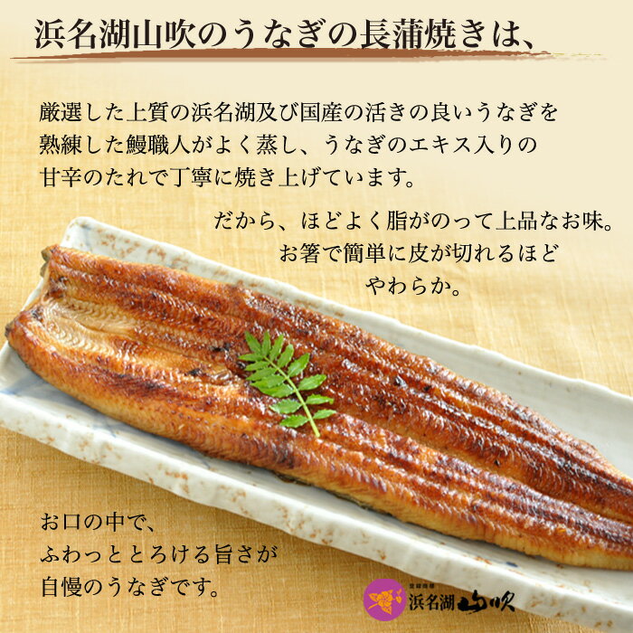 土用の丑【うなぎ専門店 浜名湖山吹】 国産 ふっくら うなぎ の長蒲焼き3人前
