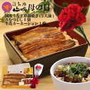 【50袋セット】【送料無料】土佐清水食品 姫かつおスティック しょうゆ味 1本×50袋(ダイエット食品) ※北海道800円・東北400円の別途送料加算