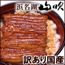 焼き上がりでグラム数の足らなくなってしまったちょっとわけありですが、味は変わらず。デパ地下鰻屋の国産13％OFF 訳ありふっくらうなぎ蒲焼き10串※簡易包装、納品書ナシ