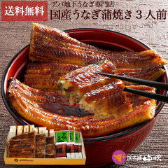 https://thumbnail.image.rakuten.co.jp/@0_mall/e-unagi/cabinet/oseibo/w-gift2_201.jpg