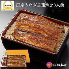 https://thumbnail.image.rakuten.co.jp/@0_mall/e-unagi/cabinet/oseibo/wgift11_201.jpg