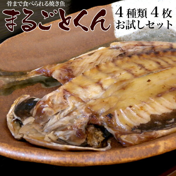 静岡県産 沼津の干物【ひもの】【まるごとくん】4種お試しセット【送料無料】о干物 セット 真アジ かま..