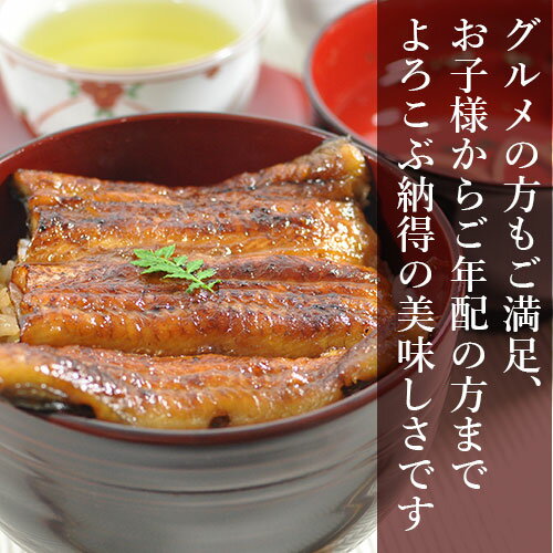 うなぎ ボーン【うなぎ専門店 浜名湖山吹】 国産うなぎ 串蒲焼き2人前・うなぎボーン詰合せ VK68-2Z 【うなぎぼーん、ウナギ、鰻、国産】