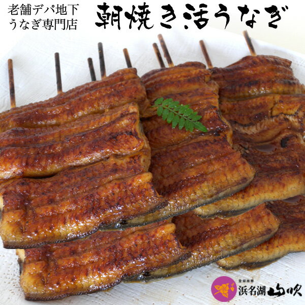 朝焼きうなぎ【うなぎ専門店 浜名湖山吹】国産うなぎ 串蒲焼き 95gサイズ6串о_老舗デパ地下鰻屋の国内産の鰻（ウナギ）。お祝い ギフト プレゼント 贈り物 などに最適！