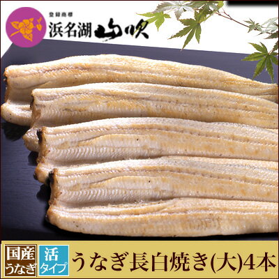 浜名湖山吹 うなぎ 朝焼きうなぎ【うなぎ専門店 浜名湖山吹】活うなぎ 長白焼き 【大】125gサイズ4本 S140-4 о_老舗デパ地下鰻屋の国内産の、うなぎ。お祝い ギフト 贈り物 などに最適！食品 朝じめ 朝焼き【ウナギ、鰻、国産】